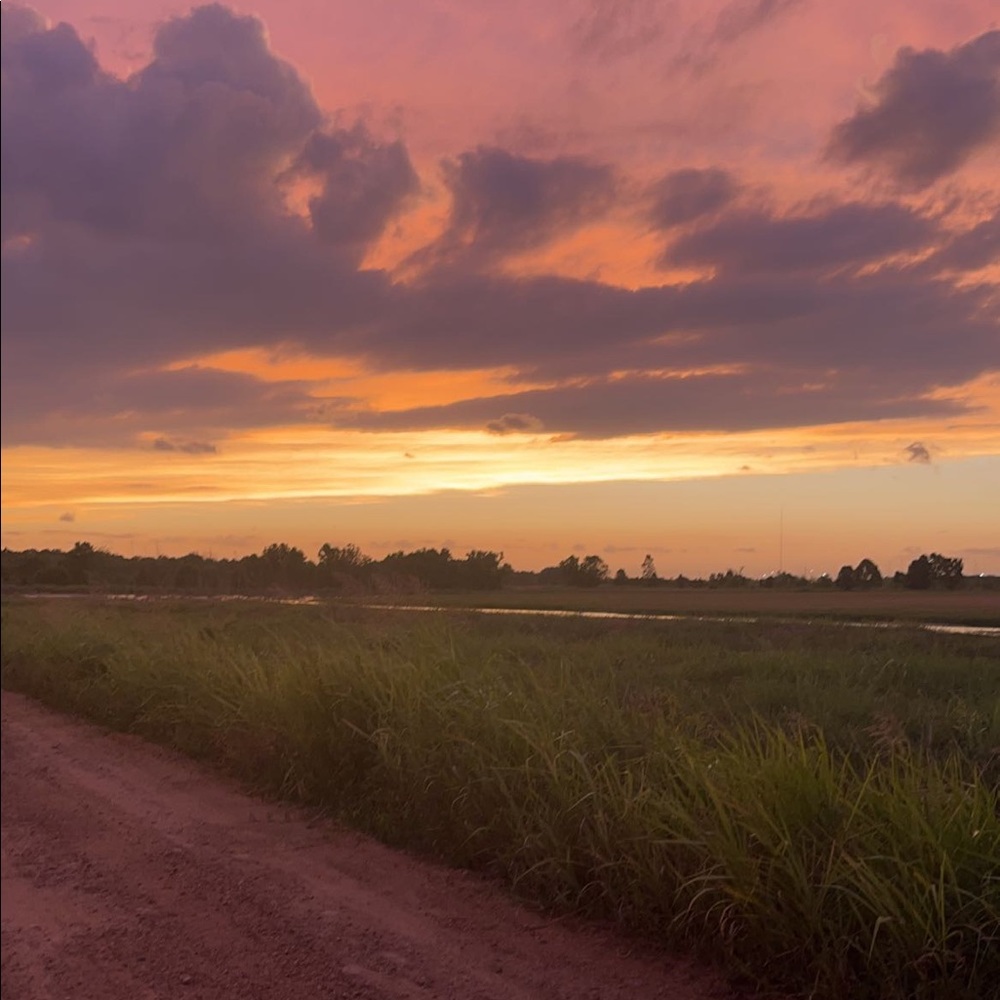 Meet your Posher, Ariana